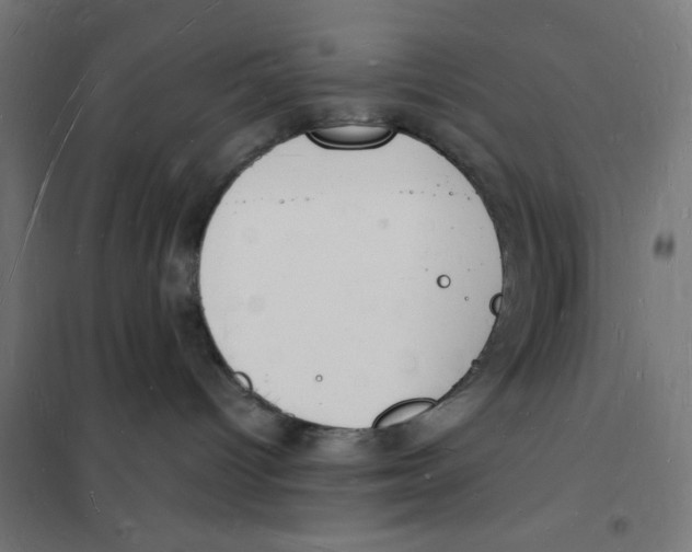 X0000101670096200808071055