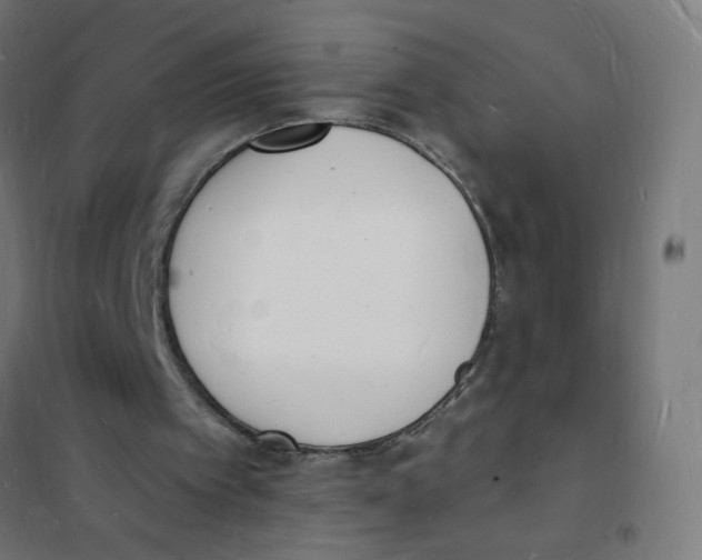 X0000101670097200808071054