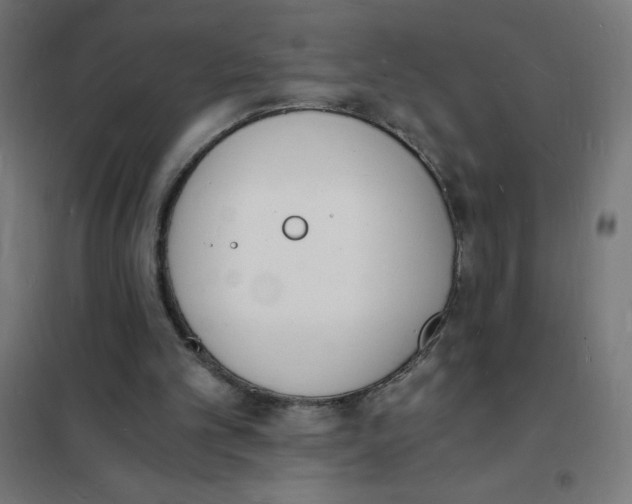 X0000101670101200808071054