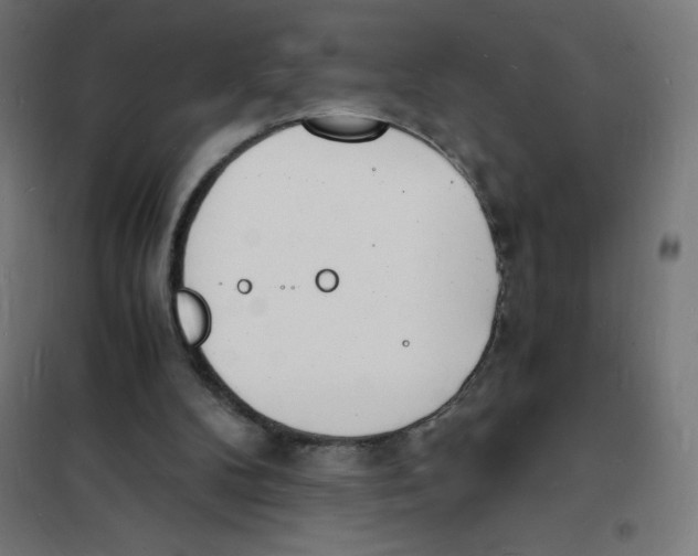 X0000101670104200808071054