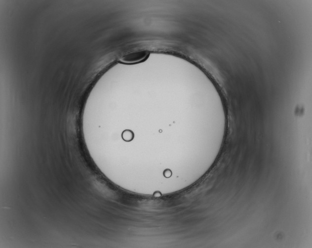 X0000101670105200808071054