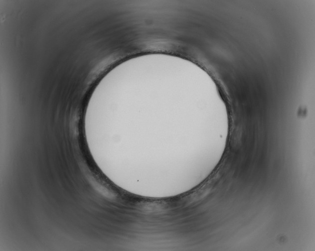 X0000101670106200808071054