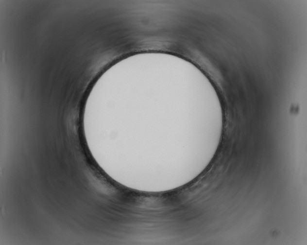 X0000101670107200808071054