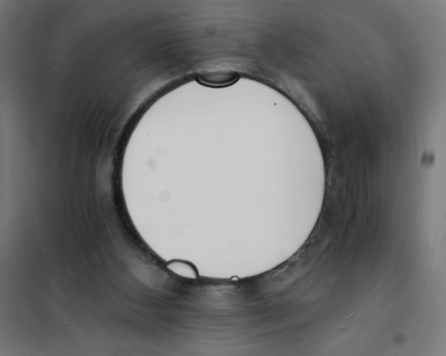 X0000101670108200808071054