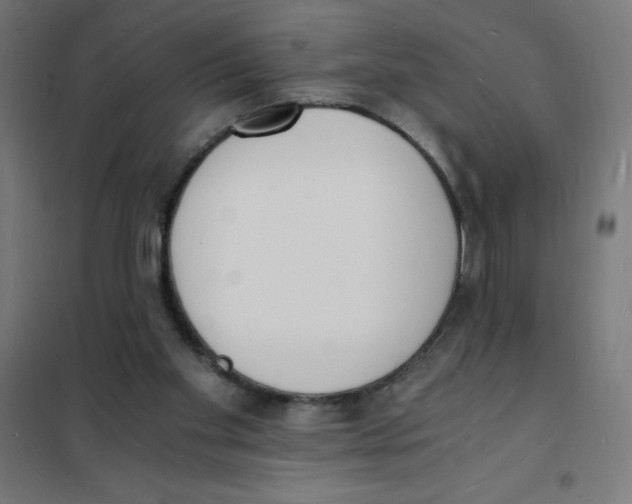 X0000101670109200808071054