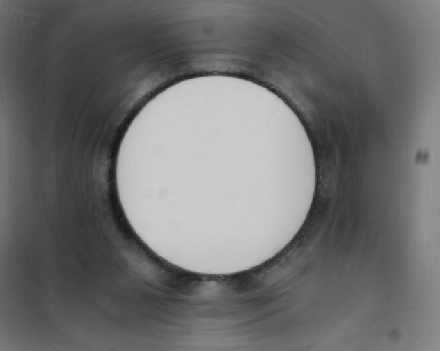 X0000101670111200808071054