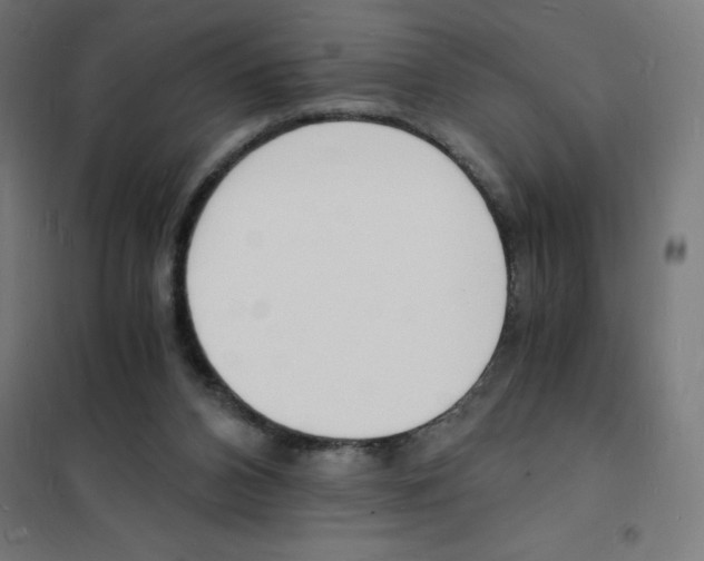 X0000101670112200808071054