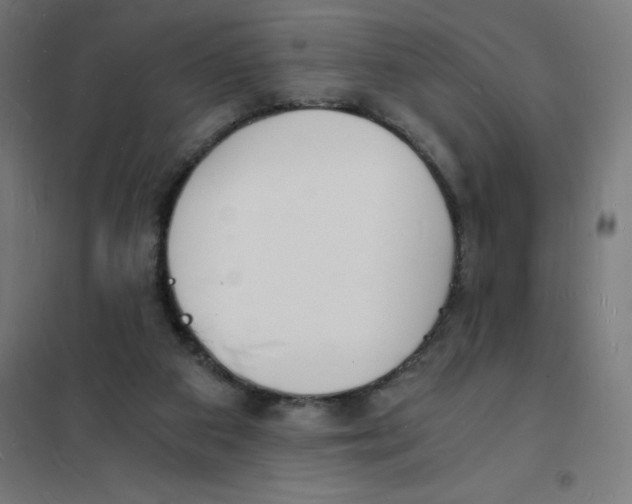 X0000101670113200808071054