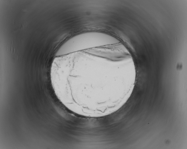 X0000101670114200808071054