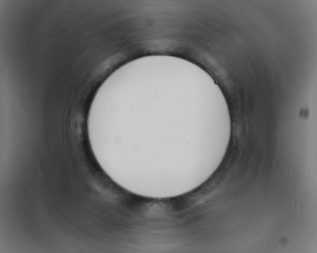 X0000101670115200808071054