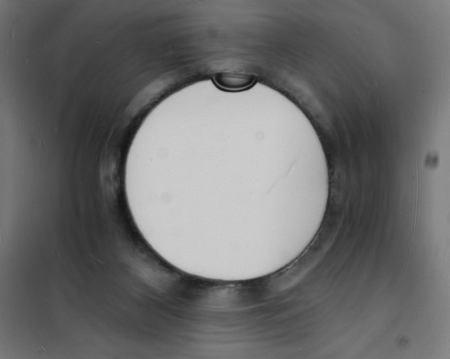 X0000101670116200808071054