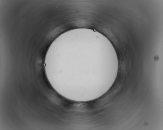 X0000101670117200808071054