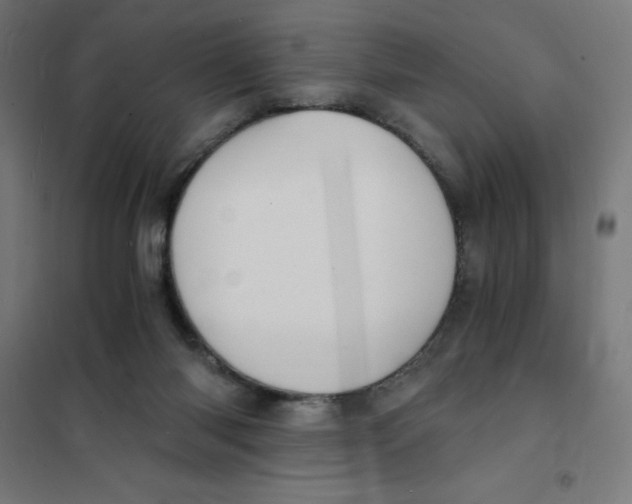 X0000101670118200808071054