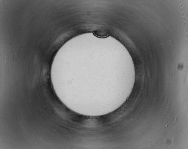 X0000101670119200808071054