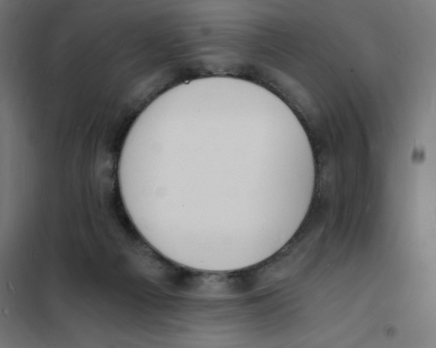 X0000101670121200808071054