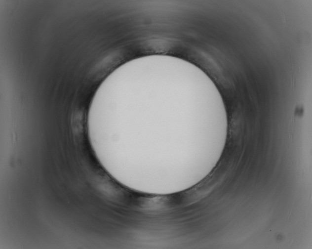 X0000101670122200808071054