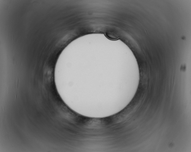 X0000101670123200808071054