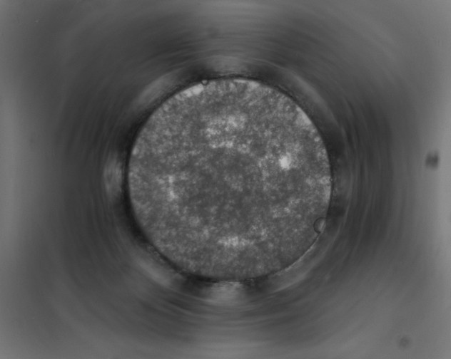 X0000101670124200808071054