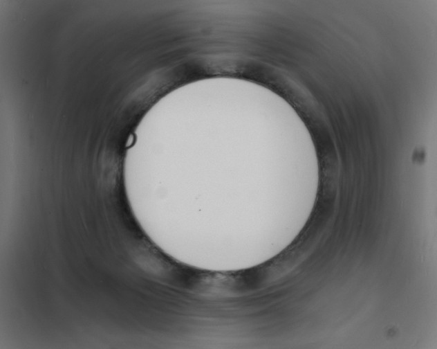 X0000101670125200808071054