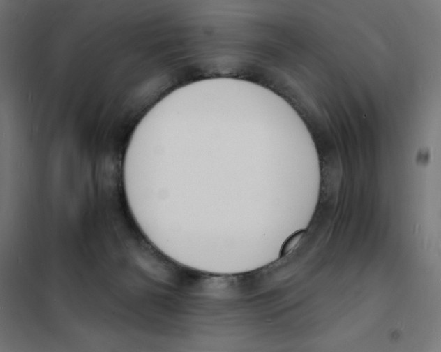 X0000101670126200808071054