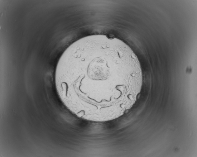 X0000101670127200808071054