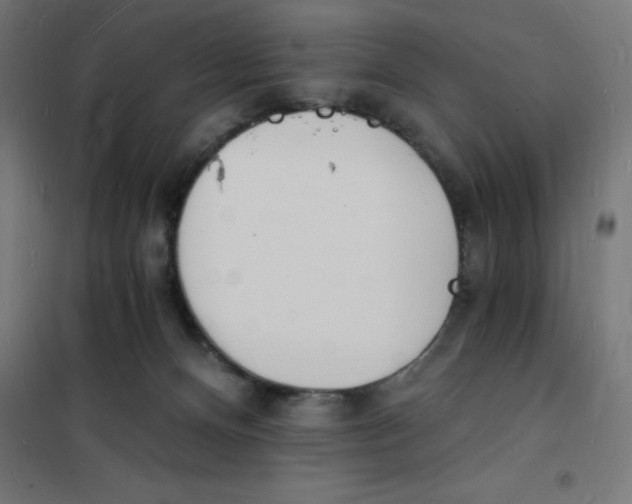 X0000101670128200808071054