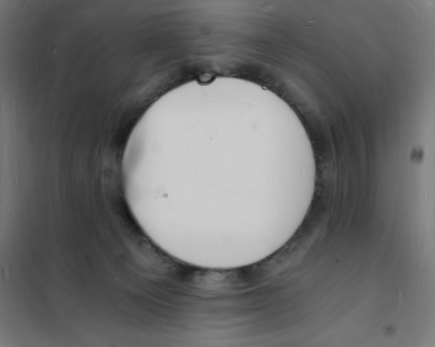 X0000101670129200808071054