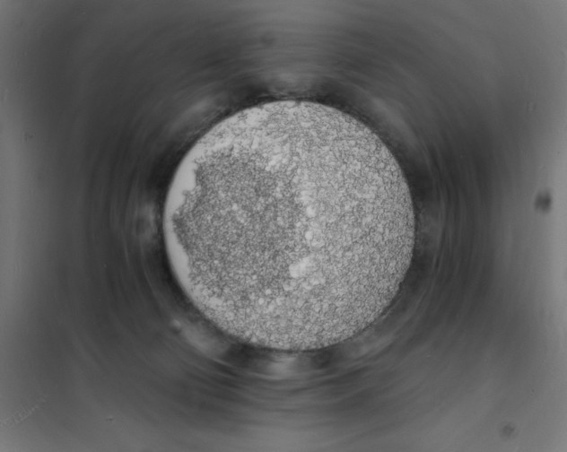 X0000101670130200808071054