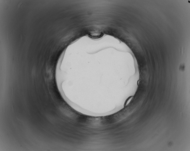 X0000101670131200808071054