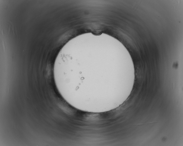 X0000101670132200808071054