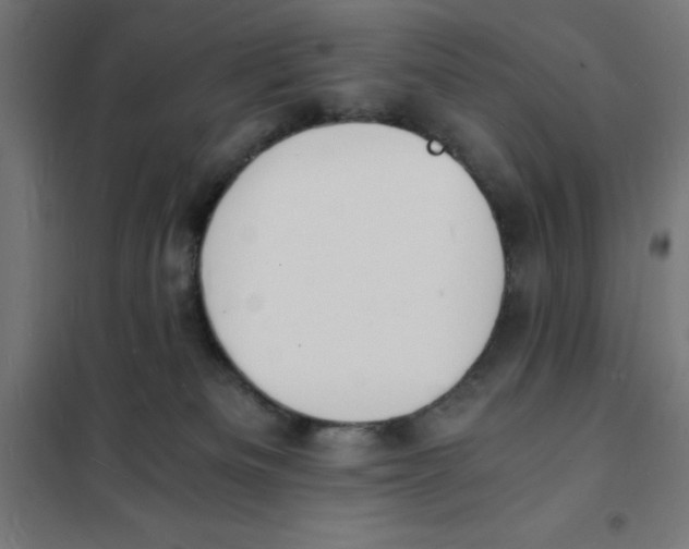 X0000101670133200808071054