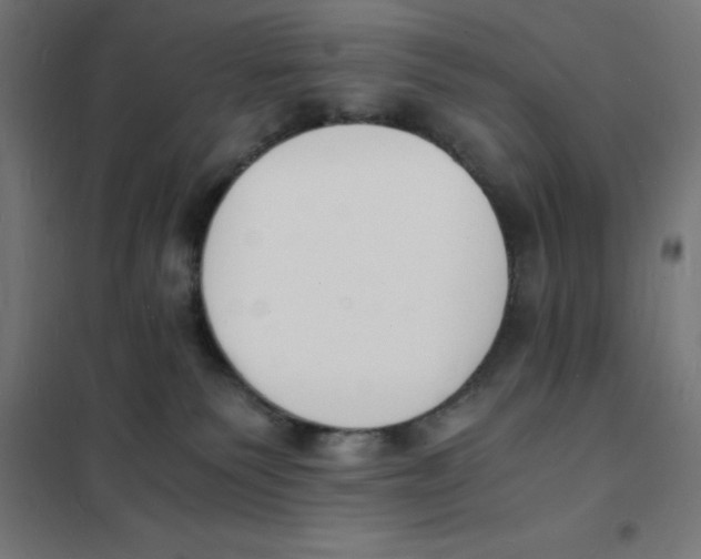 X0000101670135200808071054