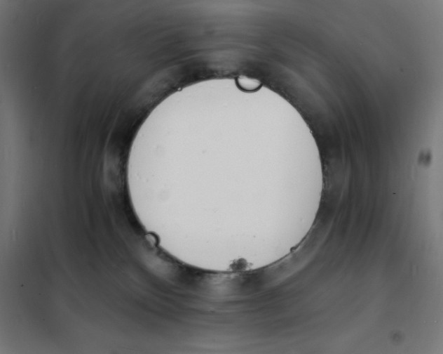 X0000101670136200808071054