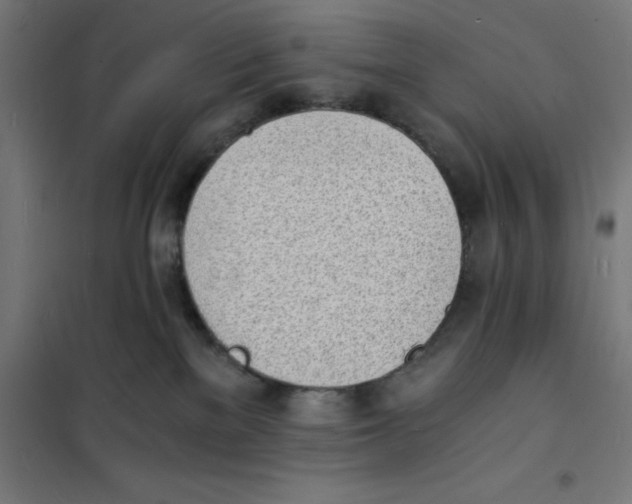 X0000101670137200808071054