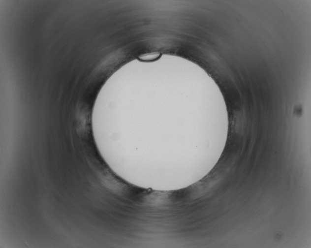 X0000101670138200808071054