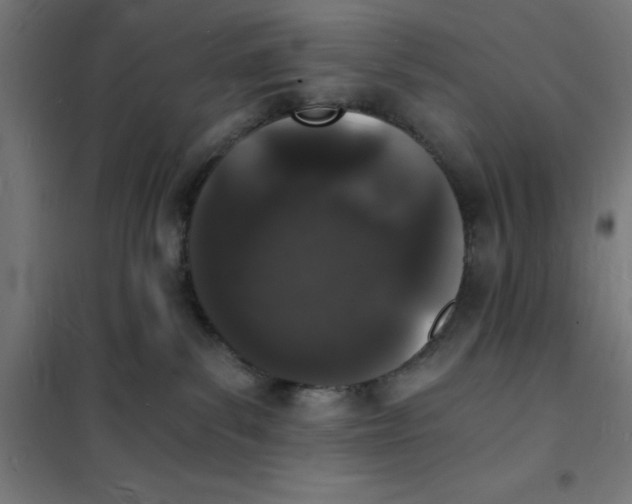 X0000101670139200808071054