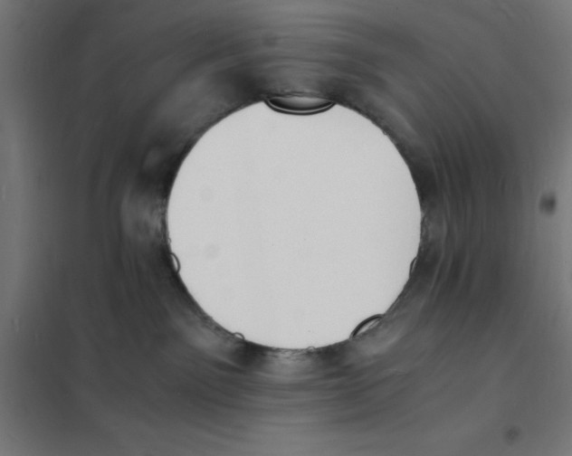 X0000101670141200808071054