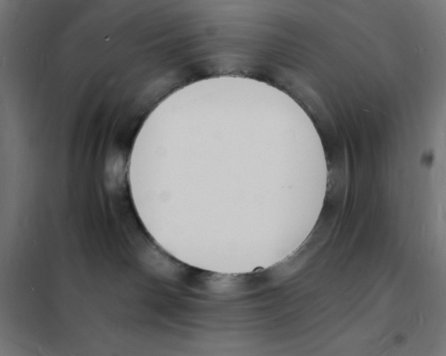 X0000101670142200808071054