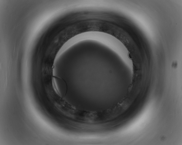 X0000101670143200808071054