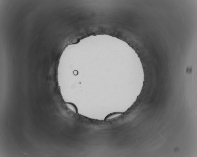 X0000101670144200808071054