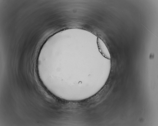 X0000101670145200808071053