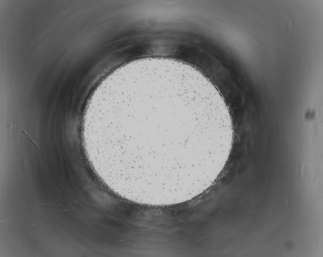 X0000101670146200808071053