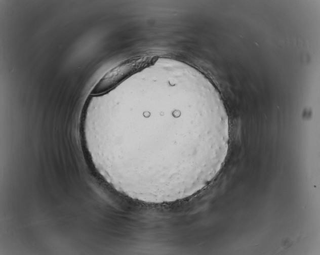 X0000101670147200808071053