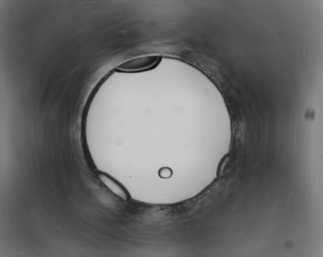 X0000101670148200808071053