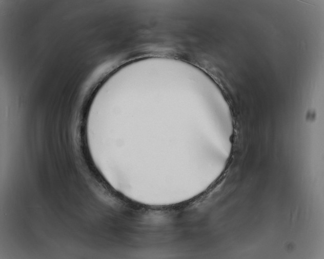 X0000101670149200808071053