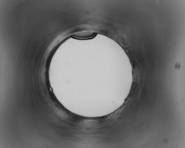 X0000101670150200808071053