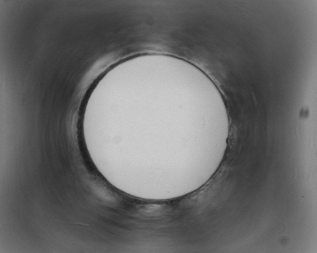 X0000101670151200808071053