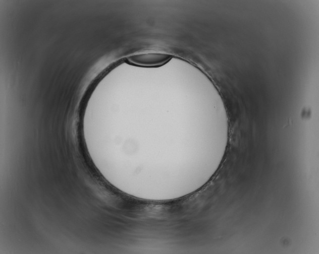 X0000101670152200808071053