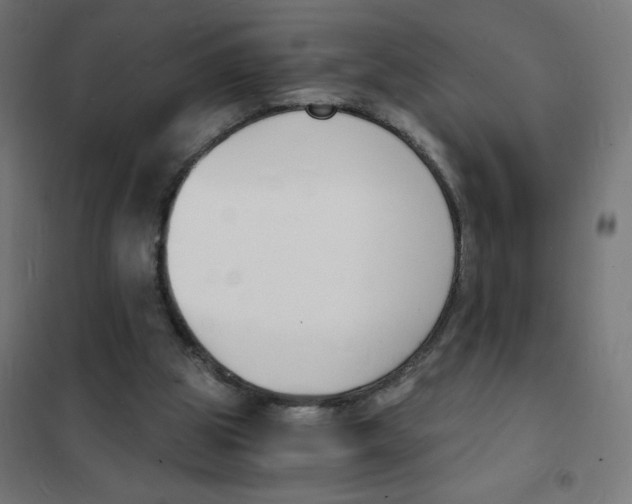 X0000101670153200808071053
