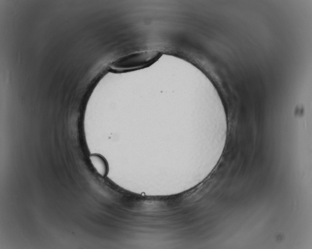 X0000101670154200808071053